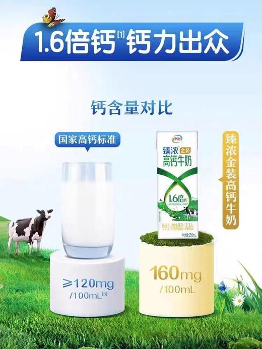伊利 臻浓金装高钙250ml*10 商品图2