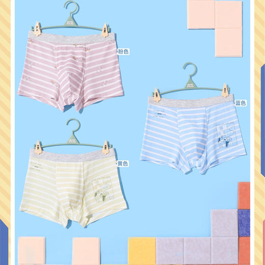 （三条装）青少年内裤平角裤男童内裤童裤[CSK24322] 商品图0