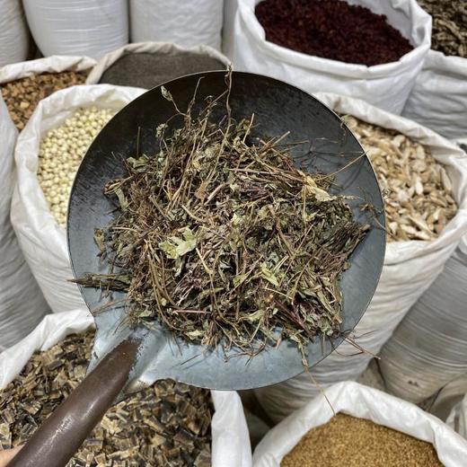 叶下珠 云南西双版纳出产 商品图3