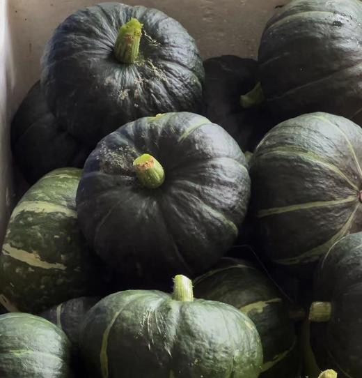 【武汉.黄陂】华希生态贝贝南瓜进口种源惠和一号（已糖化好）净重4.5-5斤（4-8个装） 商品图5