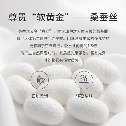 雀说 【3条】含蚕丝底裆莫代尔高腰内裤女士QS9138 （可穿80-175斤） 商品图3