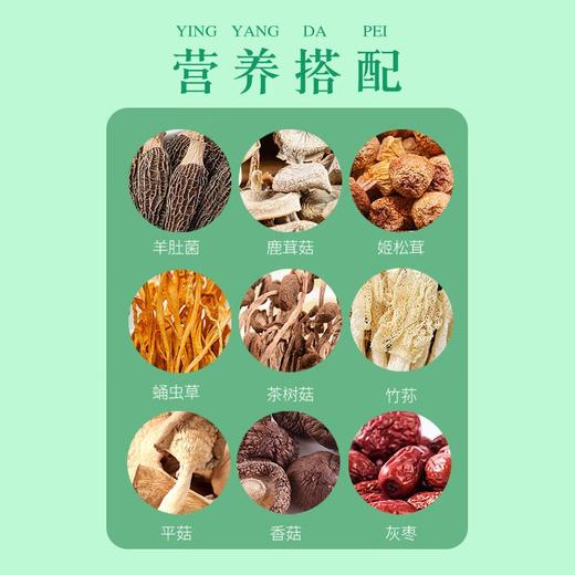 绿帝菌菇汤料包礼盒400g 商品图1