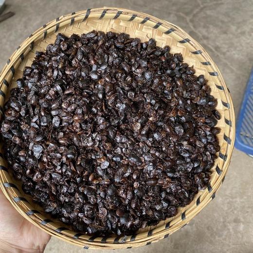 九香虫 商品图0