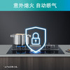 西门子（SIEMENS）西门子燃气灶双灶4.2kW大火力230°宽域调节劲火精控一键快速点火家用嵌入式灶具ER8MF233MP 商品缩略图6