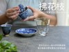【2024春茶来了】2024荒野白牡丹《拂花枝》，低配的“荒野牡丹王”，清雅的梅花香，配上野有蔓草之味，冷艳绝伦 商品缩略图5
