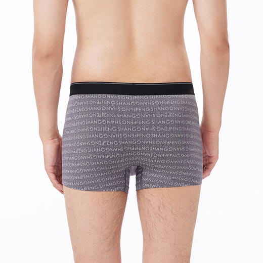 都市丽人都市锋尚内裤日常休闲平角裤40S人棉男士内裤FKTCD7 商品图3