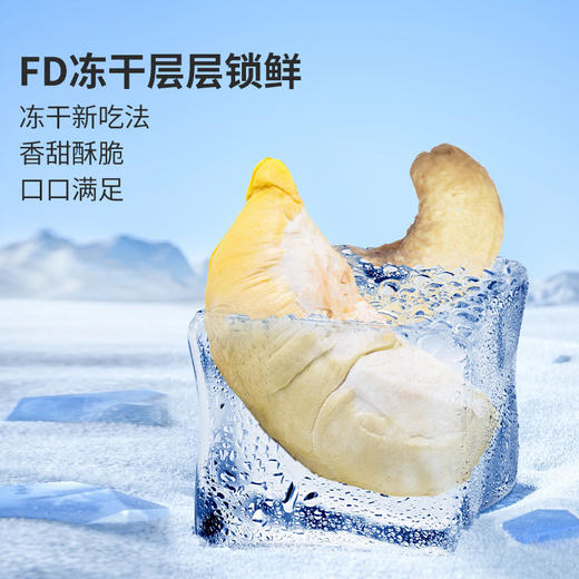 南方优品山鸿牌冻榴莲腰果酥60克 商品图5