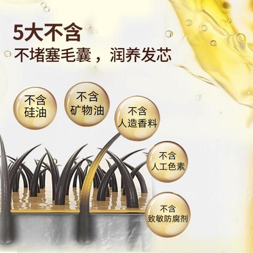 【乐】薇妮芮迷迭香精油强韧洗发水 500ml 商品图3