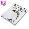 【中商原版】迷你百科系列 企鹅 Penguins 英文原版 Tom Jackson 科普与科学通识图书 科普读物 自然科学 商品缩略图1