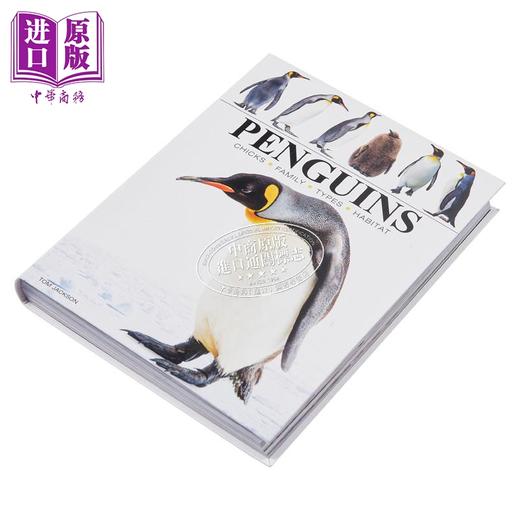 【中商原版】迷你百科系列 企鹅 Penguins 英文原版 Tom Jackson 科普与科学通识图书 科普读物 自然科学 商品图1