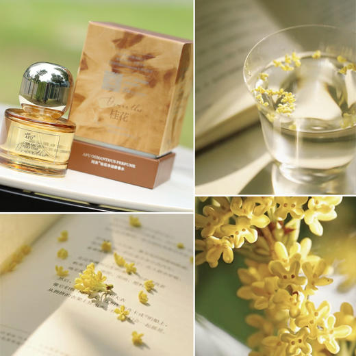 【清仓好价】阿芙桂花净油香香水30ml 商品图1