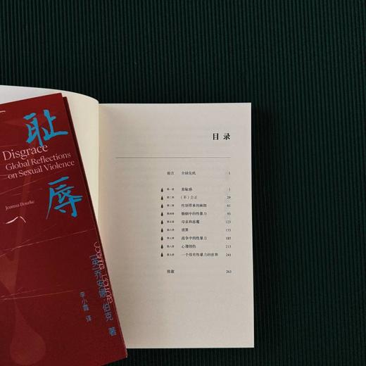 耻辱：一部性暴力全球史，一部充满同理心和信念的学术著作 商品图1