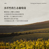 【卡瓦名家·荣誉出品】西班牙瑞雪CAVA天然半干型起泡酒 法定产区DO级 11.5%VOL 商品缩略图8