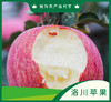 陕西洛川红富士苹果【GCDY】 商品缩略图1
