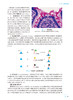 组织学与胚胎学第10版人卫生物化学生理有机诊断医学统计病理神经病儿科药理本科临床教材九9人民卫生出版社妇产科学内科学第十版 商品缩略图2