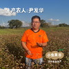 生态荞麦面粉 1kg/袋 | 合作农友生产，来自甘肃，生产者：尹发华 ＆【公平贸易农人定价】 商品缩略图3