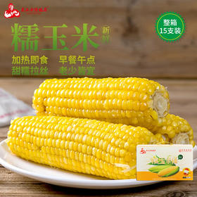 真正老陆稿荐甜糯玉米棒真空熟食礼盒200g*15一整箱早餐即食中华老字号