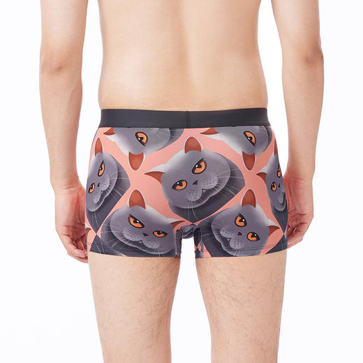 都市丽人都市锋尚内裤潮流时尚平角裤锦纶男士内裤FKTCH3 商品图3