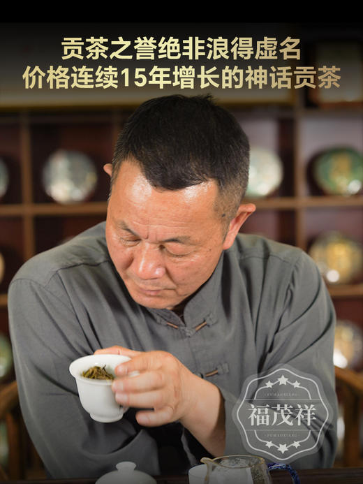 【细叶单株王】细叶单株 高度稀缺精中取精 最核心古树宝贵采摘权仅此一年 2024年春茶精选普洱茶区困鹿山6颗细叶单株普洱生茶饼357g 商品图4