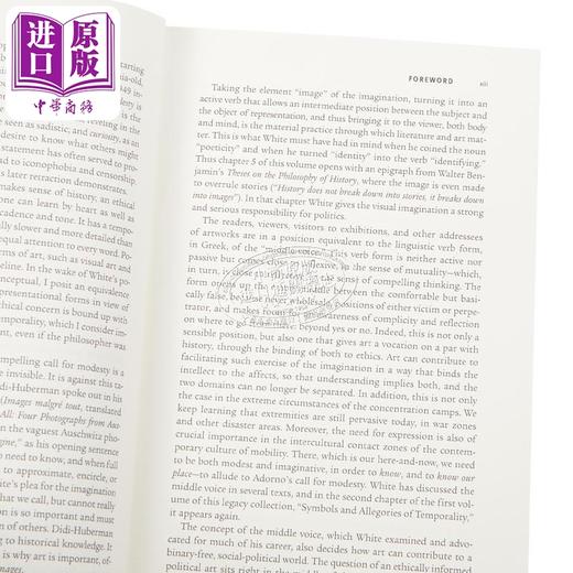 预售 【中商原版】海登怀特 叙事伦理学2 关于历史文学与理论的文集 2007-2017 The Ethics of Narrative 英文原版 Hayden White 商品图11