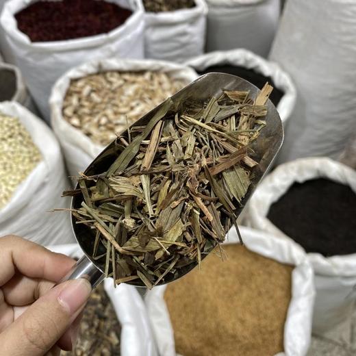 玉带草 商品图4