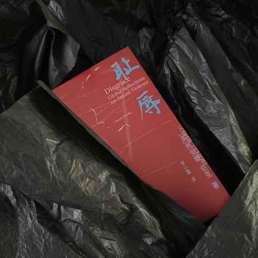 耻辱：一部性暴力全球史，一部充满同理心和信念的学术著作 商品图0