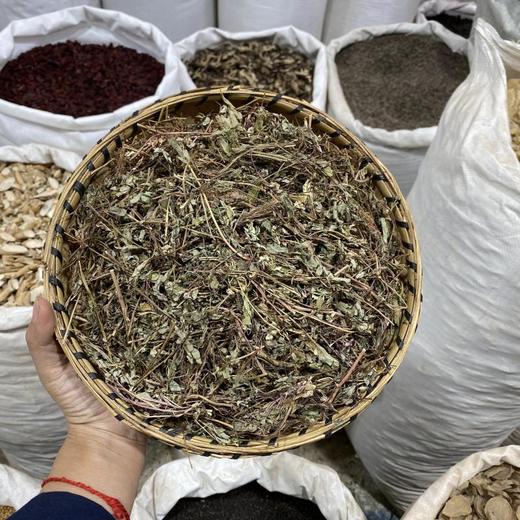 叶下珠 云南西双版纳出产 商品图0