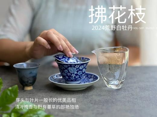 【2024春茶来了】2024荒野白牡丹《拂花枝》，低配的“荒野牡丹王”，清雅的梅花香，配上野有蔓草之味，冷艳绝伦 商品图5