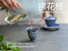 【2024春茶来了】2024荒野白牡丹《拂花枝》，低配的“荒野牡丹王”，清雅的梅花香，配上野有蔓草之味，冷艳绝伦 商品缩略图8