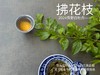 【2024春茶来了】2024荒野白牡丹《拂花枝》，低配的“荒野牡丹王”，清雅的梅花香，配上野有蔓草之味，冷艳绝伦 商品缩略图10