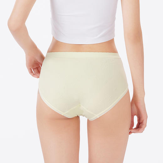 都市丽人内裤一体美臀三角裤锦纶女士内裤LKT3H5 商品图3