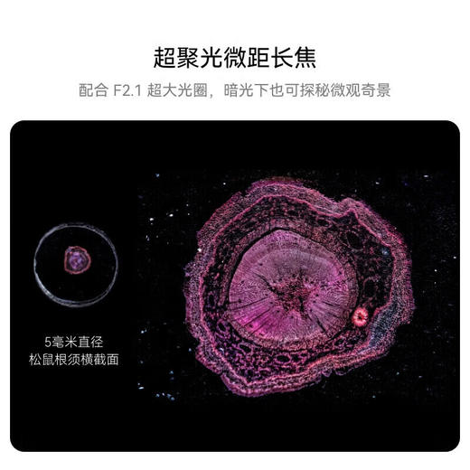 华为（HUAWEI)pura70pro+新品手机16G+512G全网通 商品图4