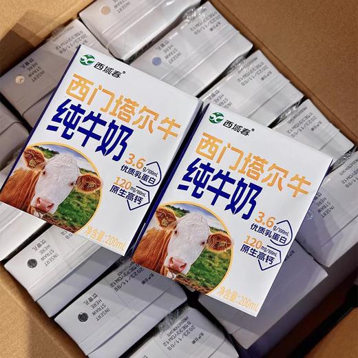 预售一星期到货西域春西门塔尔牛纯牛奶 3.6g优质蛋白 120g原生高钙 商品图2