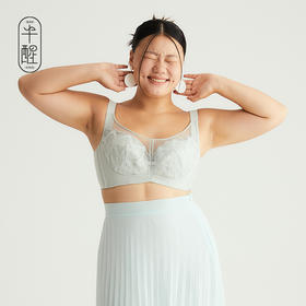 半醒蚕丝养护内衣 薄款舒适软钢圈收副乳胸罩 B0063