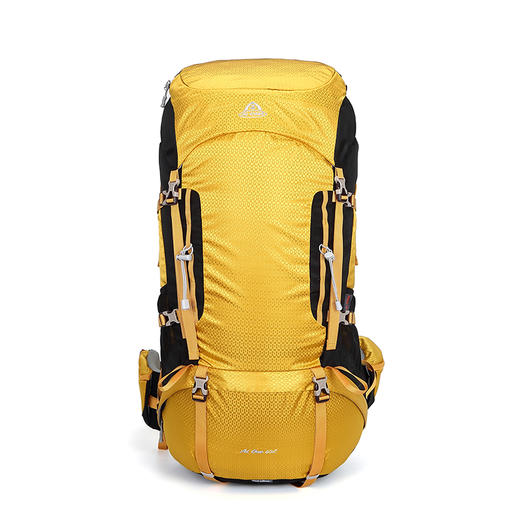 【秒杀】艾王 60L多功能大容量专业户外登山包8125A 商品图0