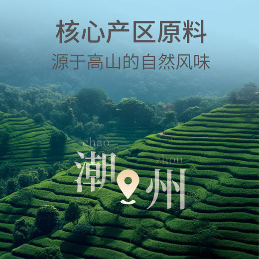 华祥庄园-雅士特级凤凰单枞25罐装（100g） 商品图2