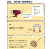 《这就是物理》升级新版（全10册） 商品缩略图7