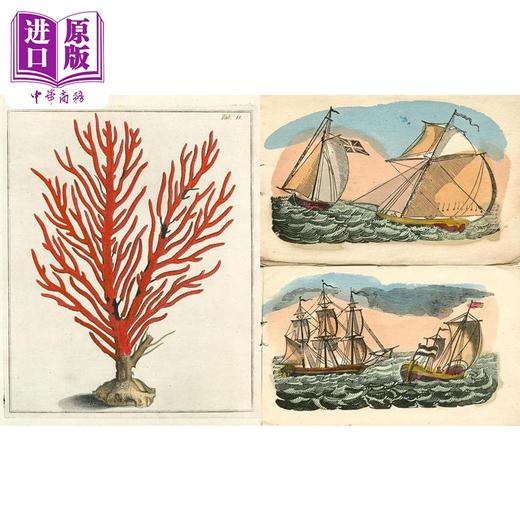 预售 【中商原版】John Derian Picture Book II 进口艺术 约翰 德里安图画书 II 商品图2