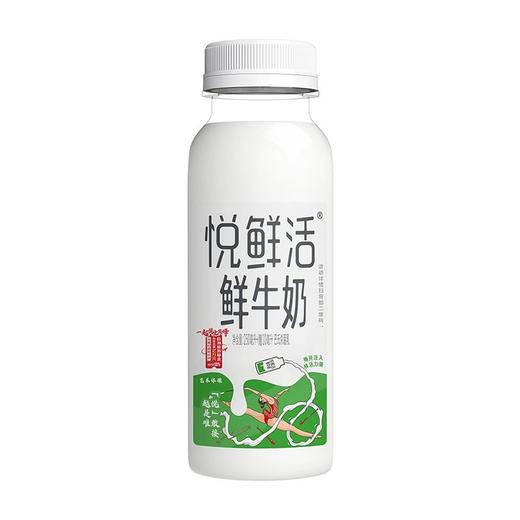 君乐宝250ml悦鲜活鲜牛奶 商品图7