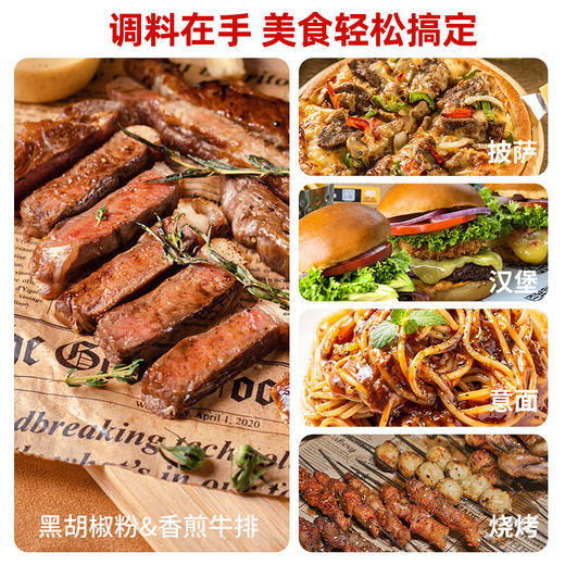 塞翁福调味礼73型 184克 商品图4