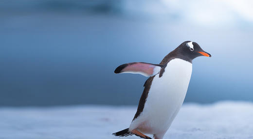 如何让自己少犯错?【好运自学社20】 商品图0