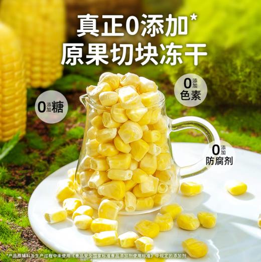 有零有食冻干榴莲干草莓干苹果干波罗蜜干组合装混合水果干营养零食办公室 209g亿桶水果（9袋） 商品图1