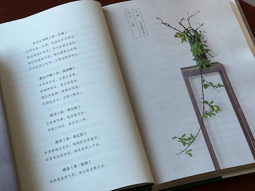签名本！！《瓶花之美/瓶花六讲》(签名本，全二册)，徐文治著，32开，精装，共约600页，九州出版社2024年6月一版一印。合售价186元。 商品图7