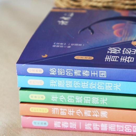 12~17岁 |《正青春阅读文丛》 单本/套装自选 青春是一阵呼啸而过的风\我愿做你低处的阳光\年少的琥珀微光\当时年少青衫薄\秘密的青春王国 商品图6