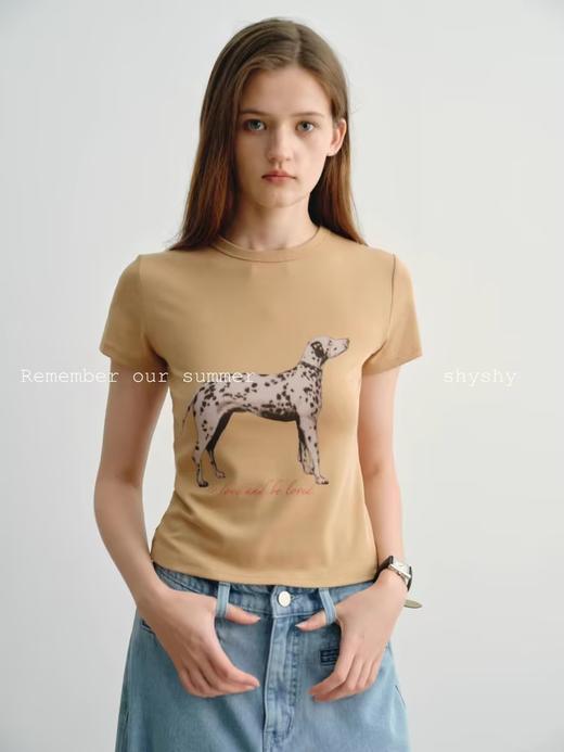 shyshystill/shy202404027/“斑点狗”棉质亲肤弹力印花短袖T恤 商品图4