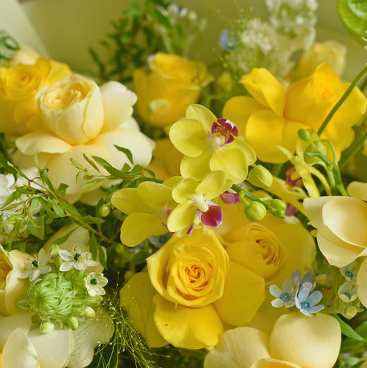 《柠檬薄荷》蝴蝶兰奶油杯绿掌清晰夏日花束 商品图7