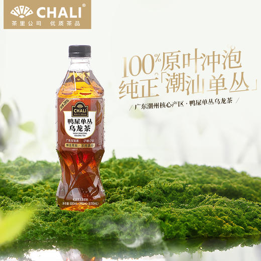 【89元任选2箱】CHALI 鸭屎单丛乌龙茶无糖茶饮料500ml 15瓶/箱 商品图0
