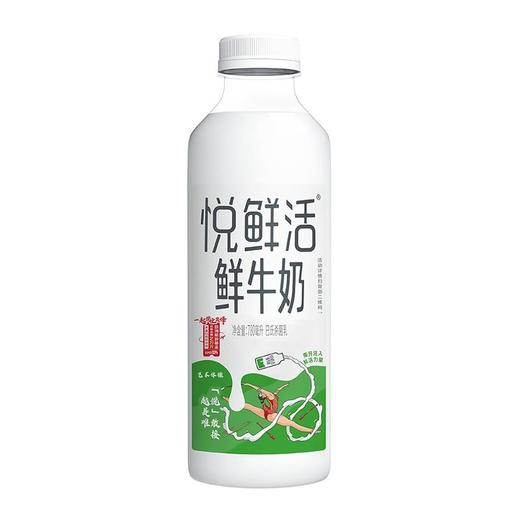 君乐宝780ml悦鲜活鲜牛奶 商品图7