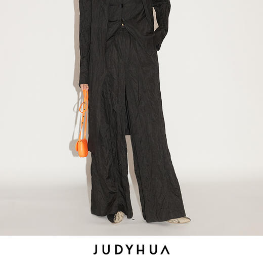 JUDYHUA 种子系列皱褶阔腿裤 商品图4