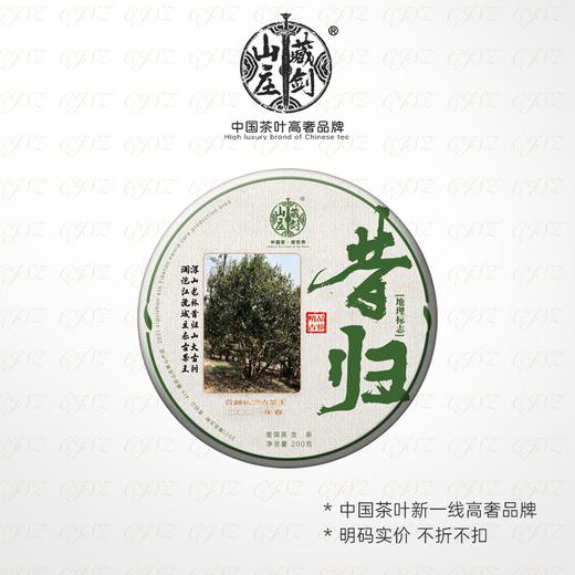 【藏剑山庄】 2021春茶 昔归茶王300年古树茶  200克/片！五送一 商品图1